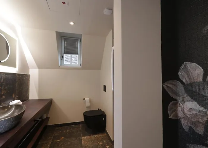 Reinhardts 3* Buchen (Odenwald, Baden-Wurttemberg)